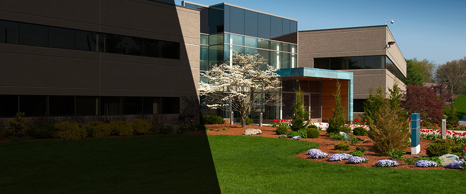 Sugar Land Landscapers