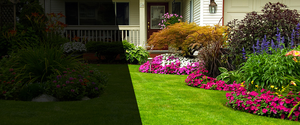 Sugar Land Landscapers