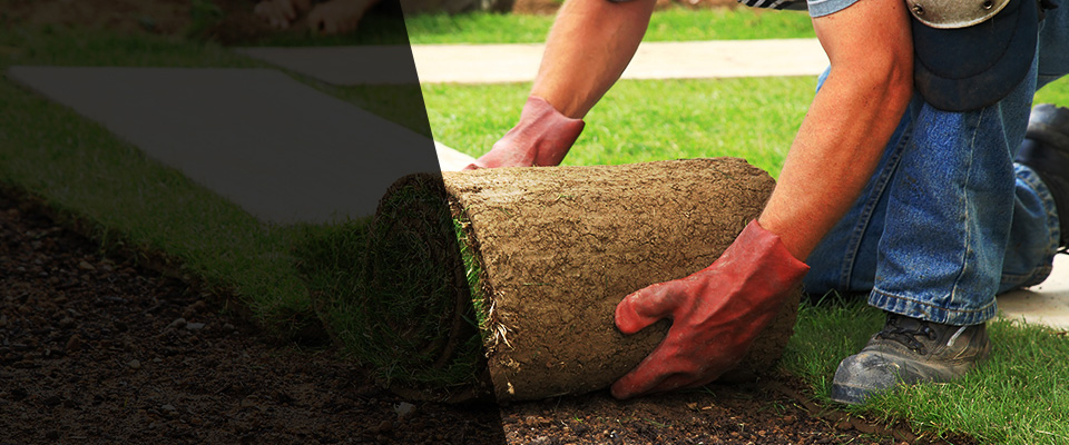 Sugar Land Landscapers